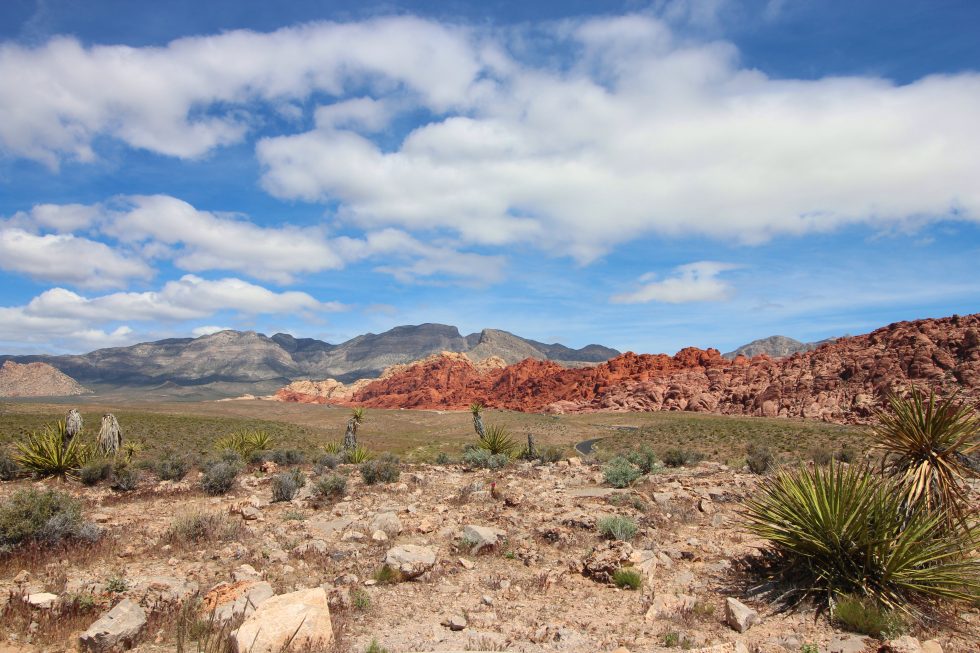 Red Rock Canyon: Your Scenic Escape from the Las Vegas Strip
